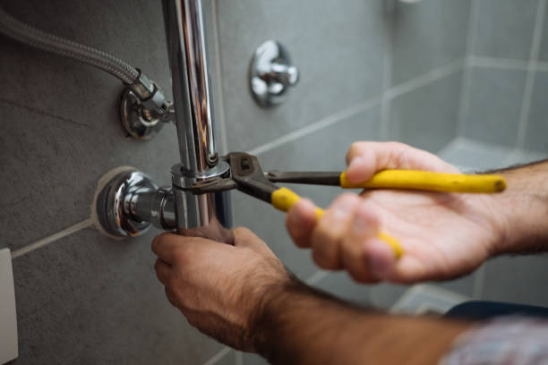 Best Residential Plumbing Services  in Holland, MI