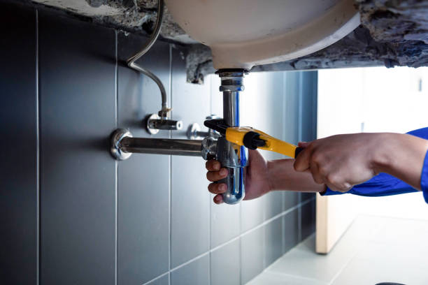 Best 24/7 Emergency Plumbing Services  in Holland, MI